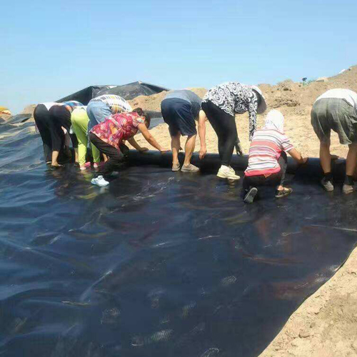 結合場地周邊情況以及圍堰工程使用要求，圍堰等級是多少